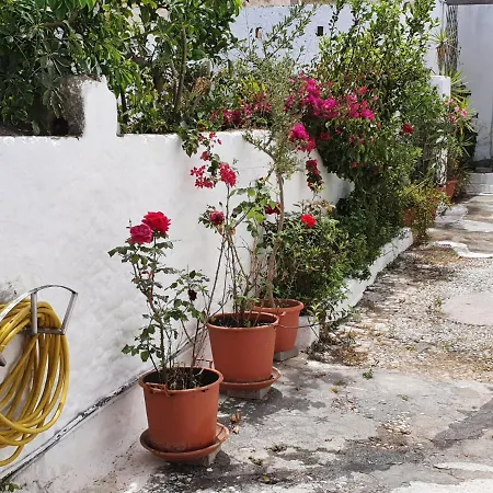 Appartement Old Town Diamond